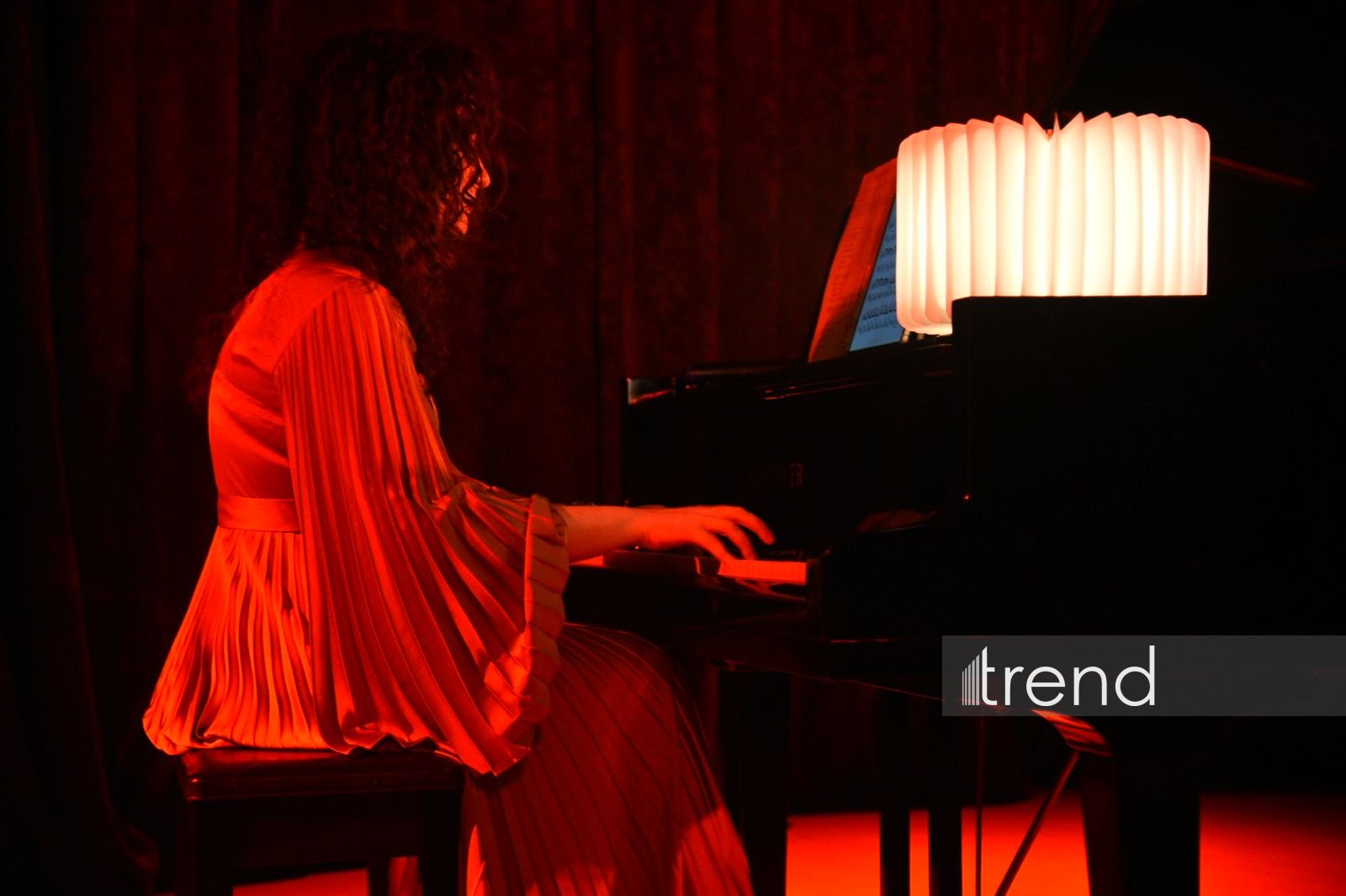 В Баку прошел творческий диалог с Саидой Тагизаде "Искусство – дыхание души" (ФОТО)