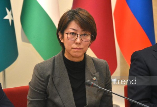 Вопросы "зеленой" энергетики становятся ключевым аспектом для развития СВМДА - Чжан Лин