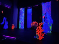 Одна морская история в Баку – в эстетике неона (ФОТО)