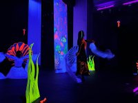 Одна морская история в Баку – в эстетике неона (ФОТО)