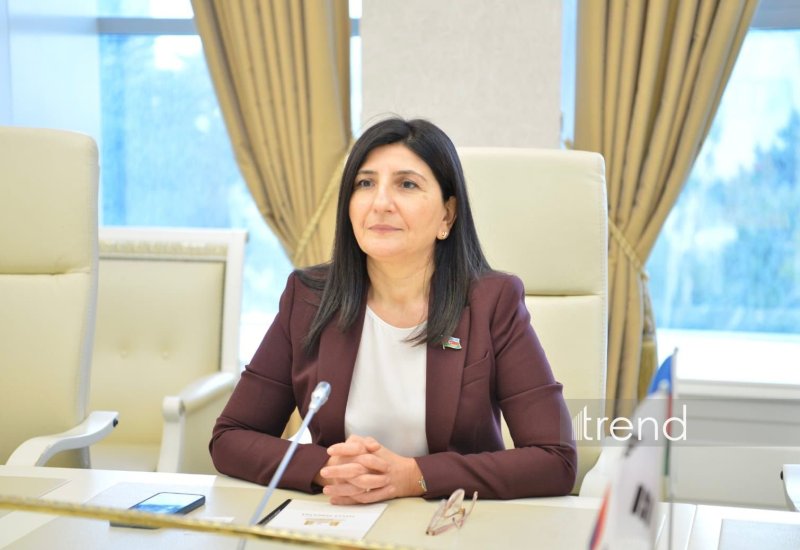 Севиль Микаилова участвует в 300-м заседании Исполнительного комитета МПС в Женеве