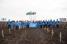 IDEA организовала очередные акции по посадке деревьев в Хачмазе и Шабране (ФОТО)