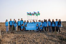 IDEA организовала очередные акции по посадке деревьев в Хачмазе и Шабране (ФОТО)
