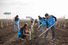 IDEA организовала очередные акции по посадке деревьев в Хачмазе и Шабране (ФОТО)