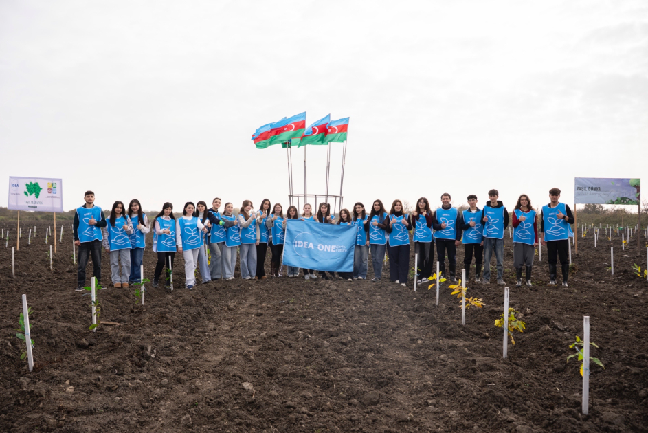 IDEA организовала очередные акции по посадке деревьев в Хачмазе и Шабране (ФОТО)