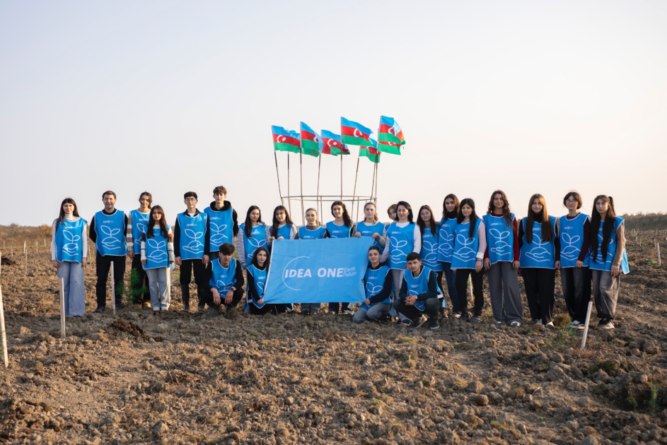 IDEA организовала очередные акции по посадке деревьев в Хачмазе и Шабране (ФОТО)