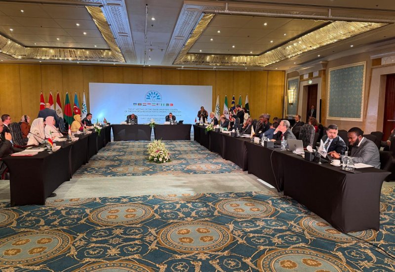 Страны D-8 приняли Каирскую декларацию о торговом сотрудничестве