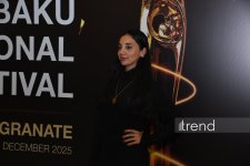 Состоялось торжественное открытие XVI Бакинского международного кинофестиваля - 78 фильмов из 34 стран (ФОТО)