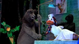 Заслуженный артист Азербайджана Рахман Рахманов стал ветеринаром в Африке (ФОТО)