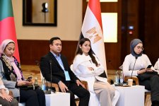 Во второй день Молодежного диалога D-8 принята Бакинская молодежная декларация (ФОТО)