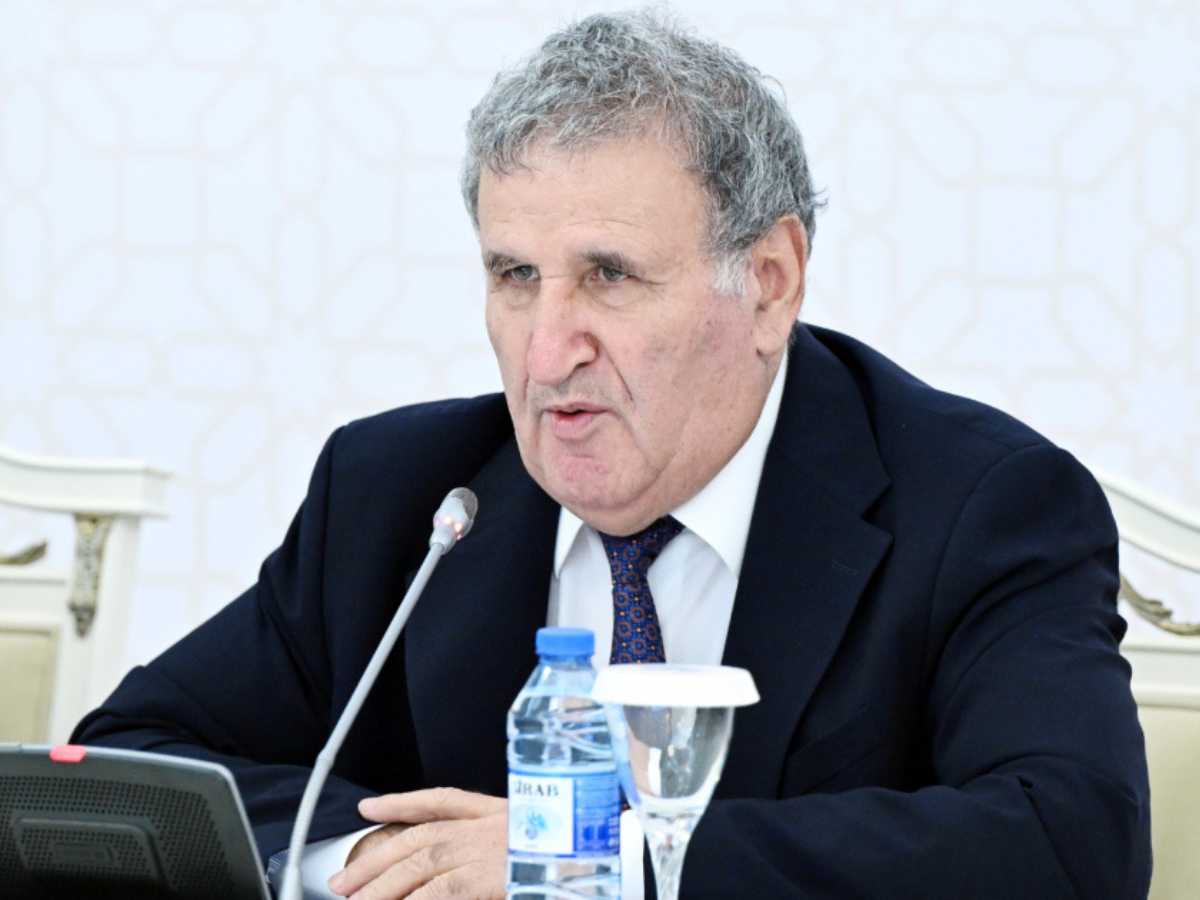 Действия Рамиза Мехдиева против государственности Азербайджана не позволяют ему оставаться членом НАНА - Иса Габиббейли