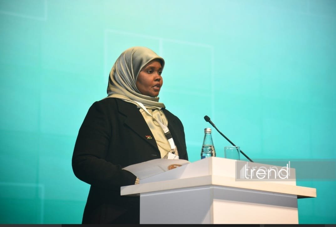 На Бакинской творческой неделе обсуждаются новые подходы для сотрудничества в креативной сфере - министр