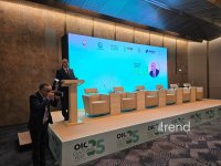 Страны ОИС обсудили на Бакинской Творческой неделе будущее игровых экосистем (ФОТО)