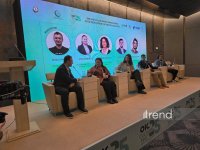 Страны ОИС обсудили на Бакинской Творческой неделе будущее игровых экосистем (ФОТО)