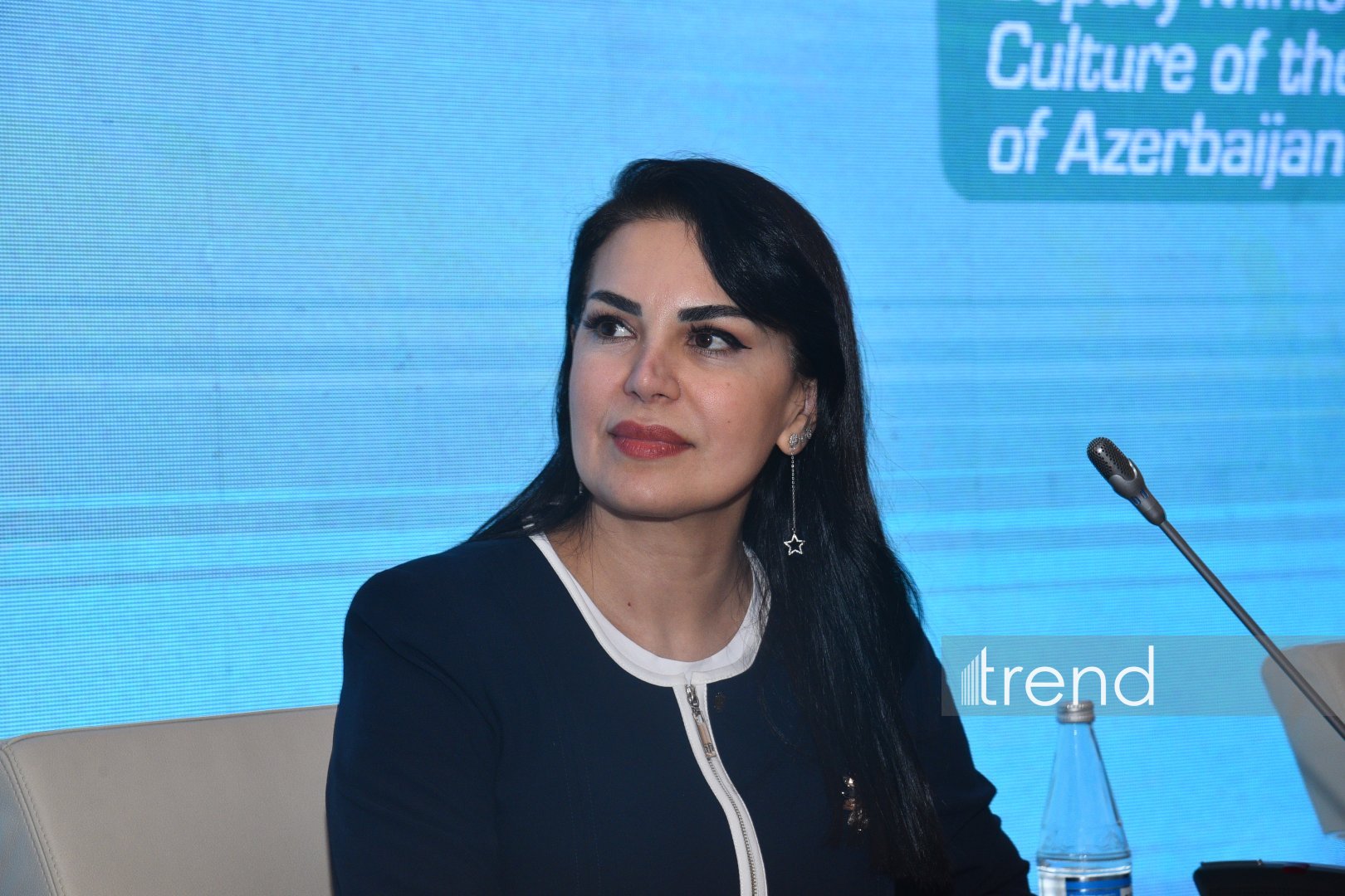 На Бакинской Творческой неделе обсудили будущее культуры исламского мира в цифровую эпоху (ФОТО)