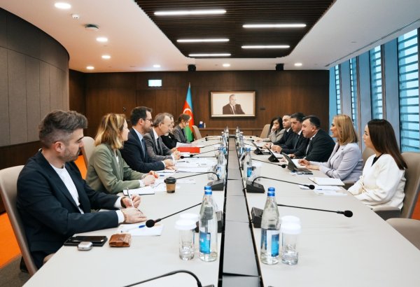 Обсуждены будущие направления сотрудничества между Азербайджаном и ОЭСР (ФОТО)