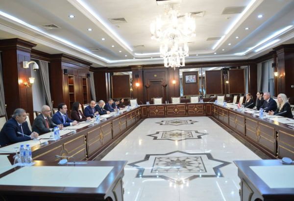 В Милли Меджлисе обсудили сотрудничество Азербайджана и Латвии в различных сферах (ФОТО)