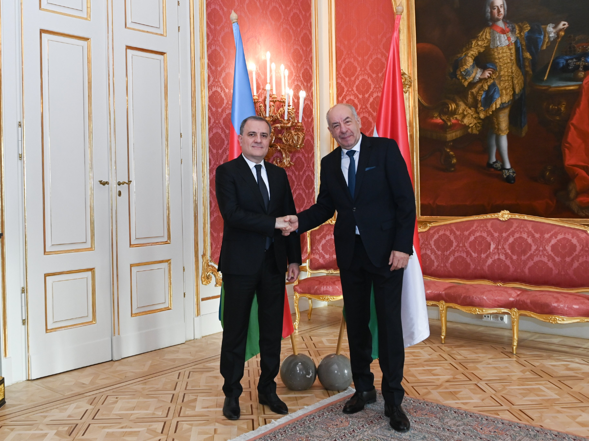 Джейхун Байрамов обсудил с Президентом Венгрии расширение стратегического партнерства (ФОТО)