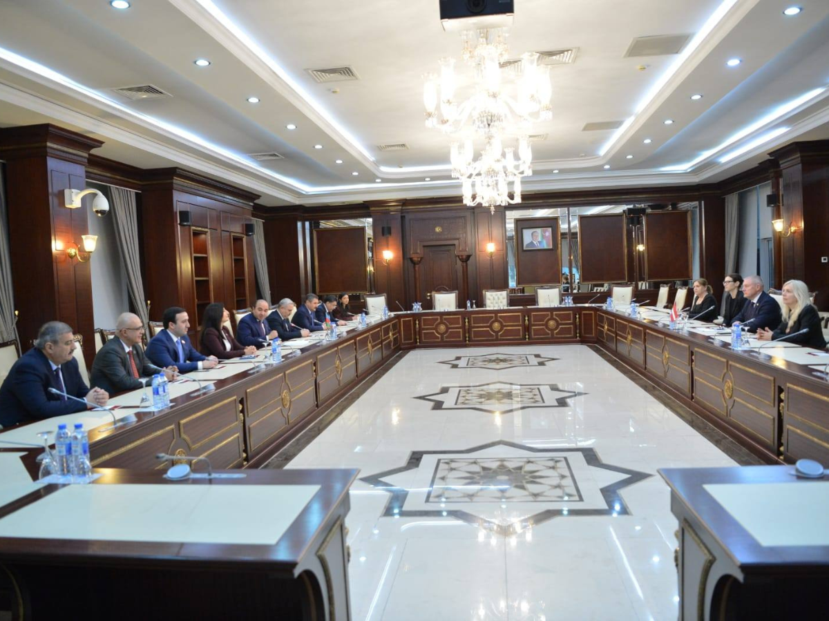 В Милли Меджлисе обсудили сотрудничество Азербайджана и Латвии в различных сферах (ФОТО)