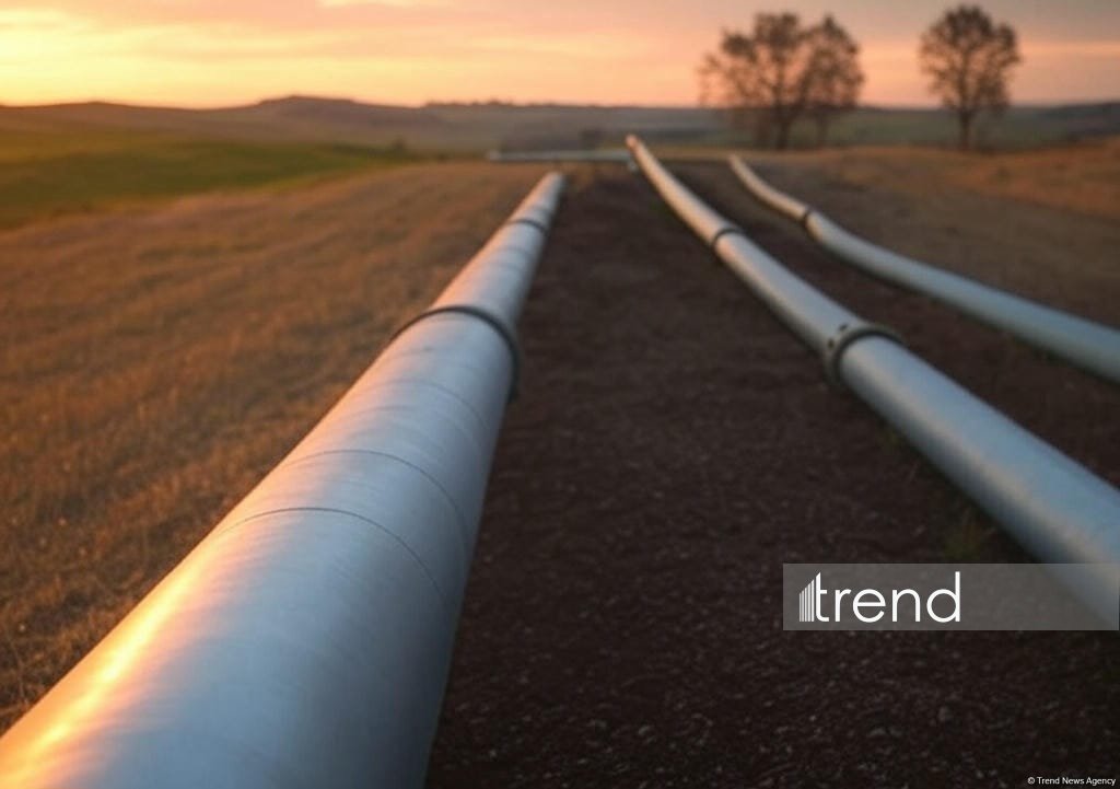 Назван объем транспортировки по магистральным нефтепроводам Азербайджана за январь-ноябрь