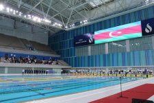 В Баку завершился чемпионат Азербайджана по плаванию 2025 года (ФОТО)
