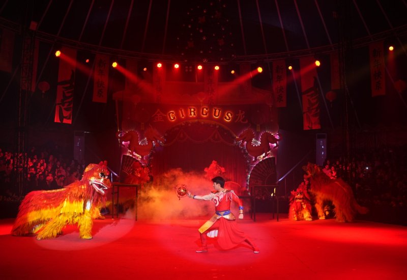 Китайский цирк в Баку бьет рекорды - уже продано 20 000 билетов (ВИДЕО, ФОТО)