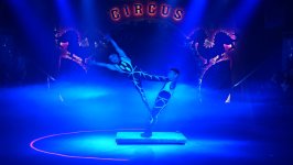 Китайский цирк в Баку бьет рекорды - уже продано 20 000 билетов (ВИДЕО, ФОТО)