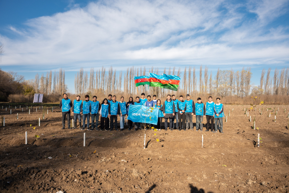 IDEA организовала массовые кампании по посадке деревьев в Сабирабадском и Джалилабадском районах (ФОТО)