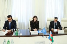 В Министерстве здравоохранения состоялась встреча с резидент-координатором ООН в Азербайджане (ФОТО)
