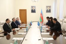 В Министерстве здравоохранения состоялась встреча с резидент-координатором ООН в Азербайджане (ФОТО)
