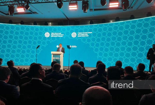 Необходимо усилить оборонную архитектуру тюркского мира в информационном пространстве - Бурханеттин Дуран