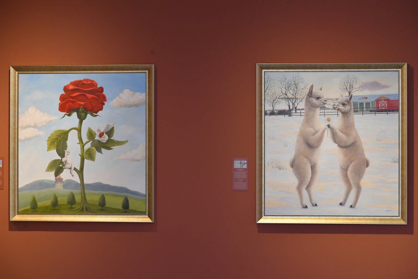 Альпаки перуанской художницы Сол Алехо в Центре Гейдара Алиева в Баку (ФОТО/ВИДЕО)