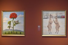 Альпаки перуанской художницы Сол Алехо в Центре Гейдара Алиева в Баку (ФОТО/ВИДЕО)