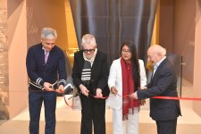 Альпаки перуанской художницы Сол Алехо в Центре Гейдара Алиева в Баку (ФОТО/ВИДЕО)