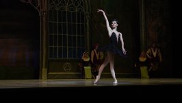 Когда лебеди танцуют – вихрь магии в Баку с участием ведущих солистов Мариинского театра (ФОТО)