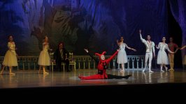 Когда лебеди танцуют – вихрь магии в Баку с участием ведущих солистов Мариинского театра (ФОТО)