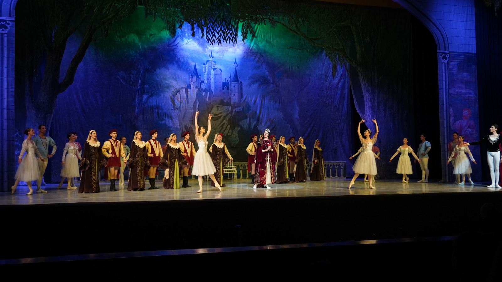 Когда лебеди танцуют – вихрь магии в Баку с участием ведущих солистов Мариинского театра (ФОТО)