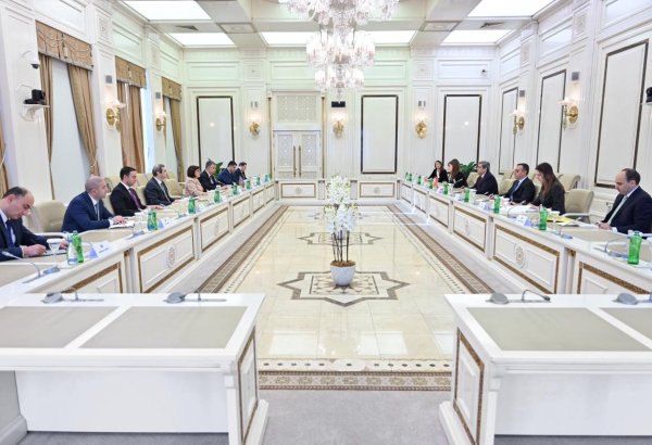 Сахиба Гафарова встретилась с заместителем премьер-министра Монтенегро (ФОТО)