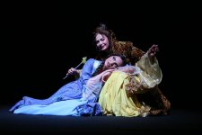 Как в Баку искали нужный размер хрустальной обуви для красивой девушки (ФОТО)