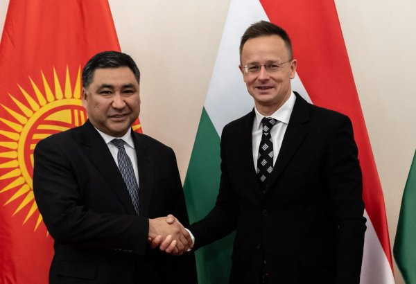 Кыргызстан и Венгрия намерены углублять стратегическое сотрудничество