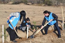 IDEA организовала массовые акции по посадке деревьев в Барде и Бейлягане (ФОТО)