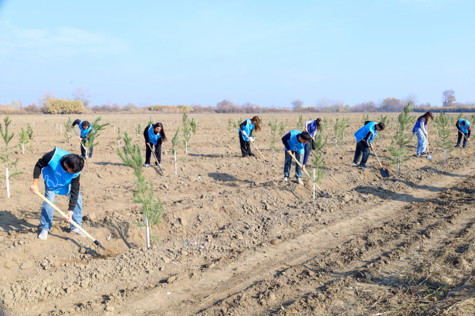 IDEA организовала массовые акции по посадке деревьев в Барде и Бейлягане (ФОТО)