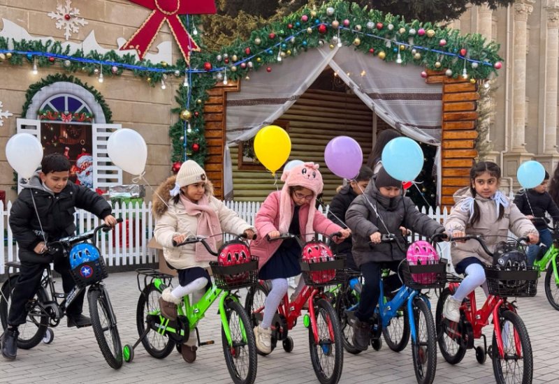 По инициативе вице-президента Фонда Гейдара Алиева Лейлы Алиевой в Евлахе было организовано новогоднее празднество для детей (ФОТО)