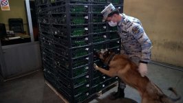 Предотвращен провоз крупной партии наркотиков из Ирана в Азербайджан (ФОТО)