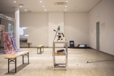 Под азербайджанским кураторством в Кведлинбурге прошла выставка "Человек и природа в эпоху одиночества" (ФОТО)