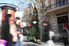 Баку в преддверии Нового года (ФОТОРЕПОРТАЖ)