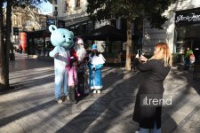 Баку в преддверии Нового года (ФОТОРЕПОРТАЖ)