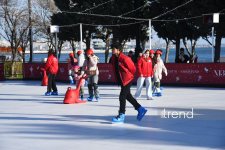 Баку в преддверии Нового года (ФОТОРЕПОРТАЖ)