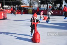 Баку в преддверии Нового года (ФОТОРЕПОРТАЖ)