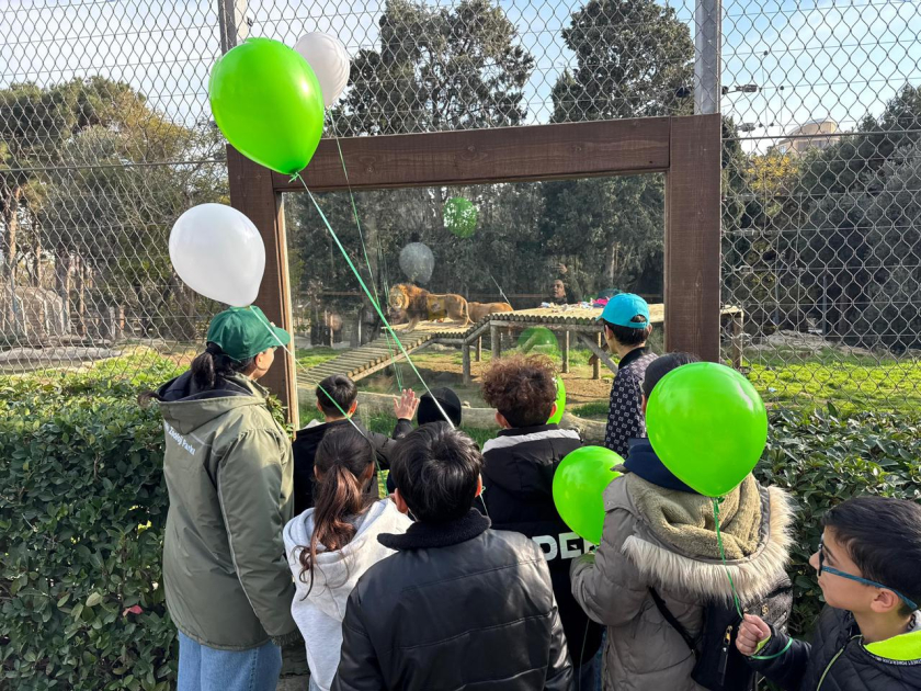 По инициативе вице-президента Фонда Гейдара Алиева Лейлы Алиевой в Бакинском зоологическом парке организовано праздничное мероприятие для детей (ФОТО)